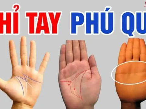 Nam hay nữ, sở hữu 4 đặc điểm này trong lòng bàn tay, xin chúc mừng, bạn đích thị là 'số hưởng', không tỷ phú cũng đại gia