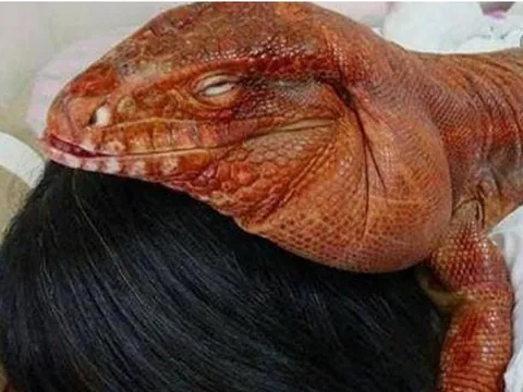 Giữa đêm, người phụ nữ tỉnh giấc, sau khi bật đèn lên cô giật mình khi thấy thứ nằm bên cạnh