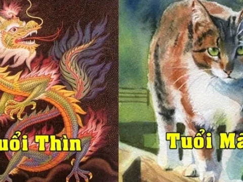 Tử vi tuần mới 12 con giáp (10 - 16/6/2024): Mão khởi sắc, Thìn đối mặt thử thách