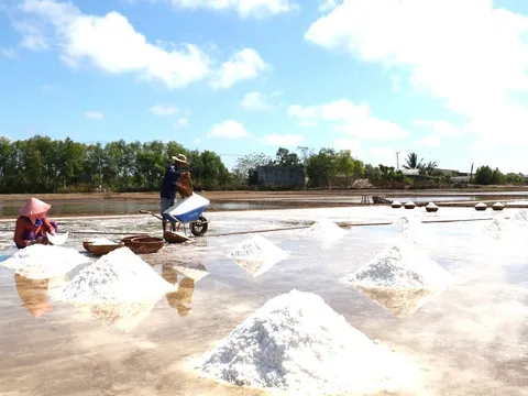 Festival nghề muối Việt Nam: Khơi dậy tình yêu nghề truyền thống của thế hệ trẻ