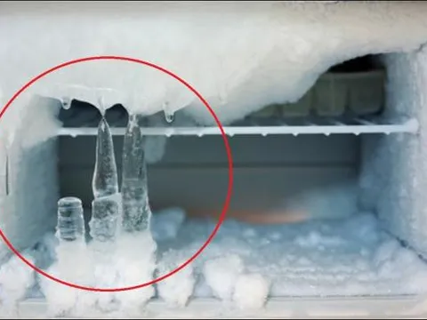Bỏ thứ này vào tủ lạnh sẽ không bao giờ đóng băng, gia chủ có thể tiết kiệm một nửa tiền điện mỗi tháng