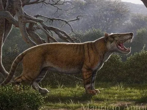 Quái vật 22 triệu năm trước: Nặng hơn 2 tấn, ăn cả voi, may mắn nó không sống ở thời hiện đại