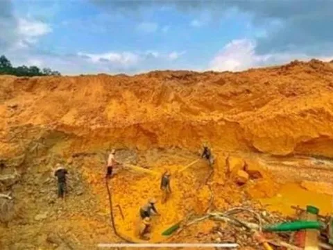 Tỉnh nào là 'mỏ vàng' của Việt Nam?