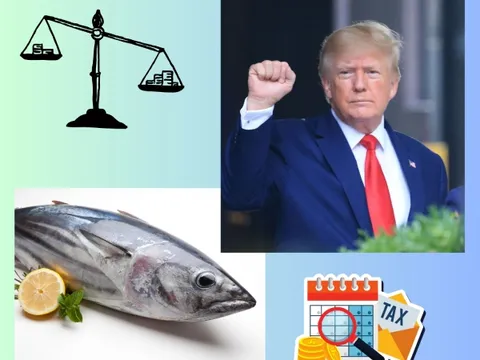 Thuế quan mới của Mỹ tác động thế nào tới cá ngừ Việt Nam?