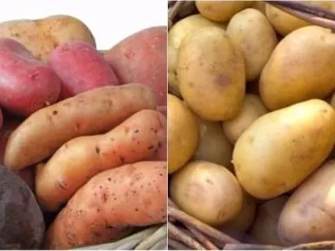 Khoai lang và khoai tây, khoai nào tốt hơn? Chuyên gia dinh dưỡng tiết lộ điều bất ngờ