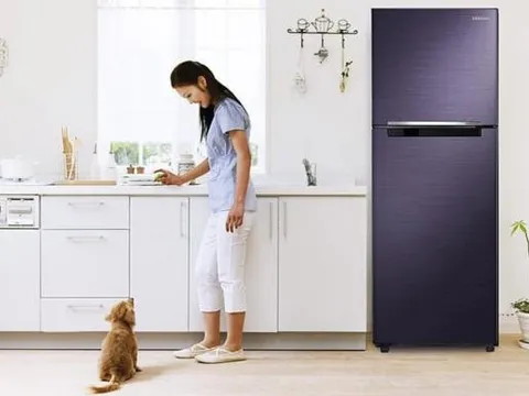 Người xưa dặn dò: 'Nóc tủ lạnh để 3 thứ này, nhà có bao nhiêu của cải trôi đi bấy nhiêu', tại sao lại như vậy?