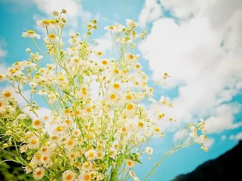 Ở độ tuổi 50, cho dù giàu hay nghèo cũng đừng liên lạc qua lại với những loại người sau vì nó chẳng có ý nghĩa gì cả