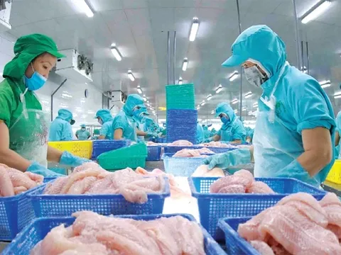 Thương mại quốc tế biến động, thuỷ sản Việt có thể bứt phá? 