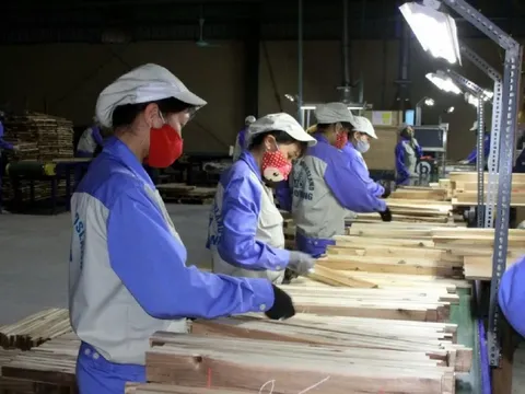 Thương mại toàn cầu biến động, giải pháp nào hỗ trợ doanh nghiệp thích ứng? 