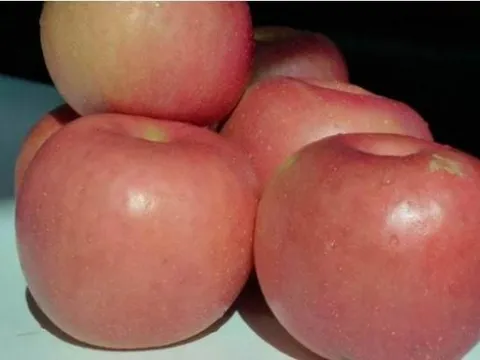 Khi mua táo, chỉ cần ghi nhớ một 'mẹo nhỏ', nhìn sơ qua có thể biết táo ngọt hay không, phương pháp rất hay