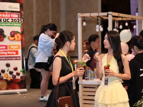 Mận Australia lần đầu ra mắt tại Việt Nam 