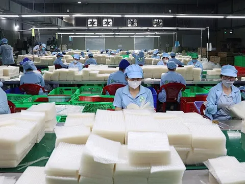 Nâng tầm đặc sản OCOP, mở ra cơ hội xuất khẩu