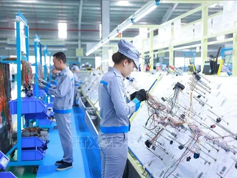 Đôn đốc triển khai thực hiện các kịch bản tăng trưởng của từng địa phương năm 2025