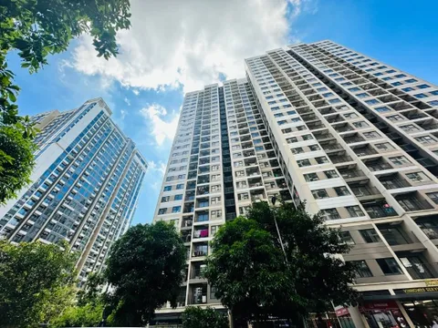 Giá chung cư chững lại, người mua có nên 'xuống tiền'?