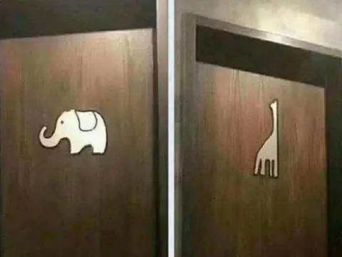 Có hình một con voi và một con hươu cao cổ trên cửa nhà vệ sinh, con nào là con đực và con nào là con cái? Sau khi đọc, bạn sẽ không đi vệ sinh nhầm