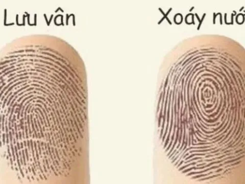 Giàu sang hay nghèo khó, chỉ cần xòe bàn tay, nhìn ngón cái là biết ngay