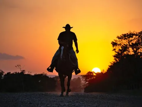 Danh tính người Việt Nam đầu tiên đến Mỹ, bất ngờ nghề nghiệp ở xứ người và cuộc sống sau này