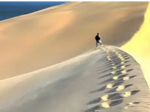 Tại sao con người không thể đi theo đường thẳng sau khi bị lạc trong sa mạc? 