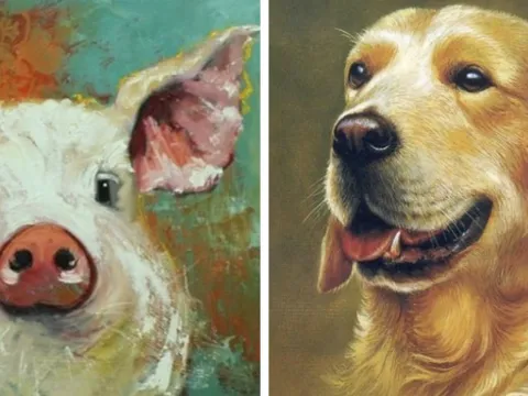 Tử vi ngày 17/2/2025 của 12 con giáp: Tuất đón vận may, Hợi cẩn trọng lời nói