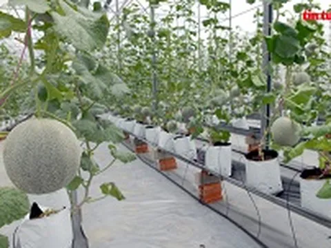 Phát triển bền vững nông nghiệp vùng Đông Nam Bộ - Bài 2: Bước tiến lớn từ nông nghiệp thông minh