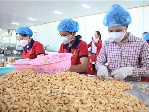 Phát triển bền vững nông nghiệp vùng Đông Nam Bộ - Bài 3: Nâng cấp chuỗi giá trị nông sản chủ lực