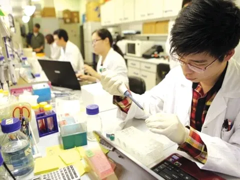 Gỡ rào cản trong nghiên cứu khoa học: Chấp nhận rủi ro và khoán chi