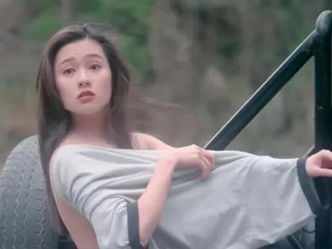 Cô từng là “Nữ hoàng phim cấp 3” Hong Kong, xinh đẹp hơn Thư Kỳ, hiện 58 tuổi muốn quay lại làng giải trí