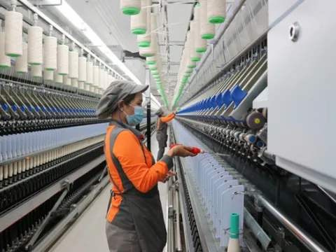 Doanh nghiệp Việt loay hoay với chuyển đổi xanh, nguy cơ mất thị trường xuất khẩu lớn