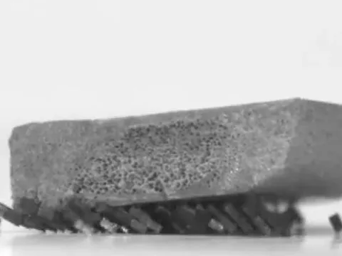 Các nhà khoa học Hàn Quốc phát triển bầy robot lấy cảm hứng từ loài kiến với khả năng làm việc nhóm vô cùng mạnh mẽ!