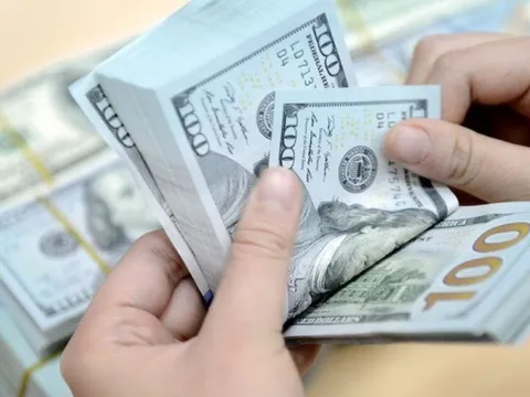 Tỷ giá ngoại tệ ngày 20/2/2025: USD và NDT biến động nhẹ 