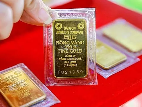 Giá vàng ngày 21/2/2025: Đi ngang dù thị trường thế giới lập kỷ lục 