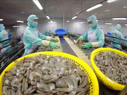 Xuất khẩu xanh - Bài 3: Áp lực cho chuỗi giá trị