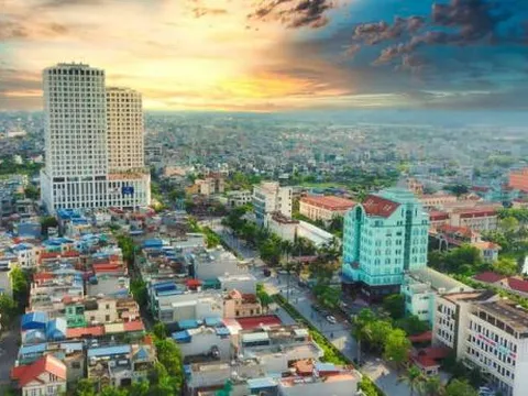 Tỉnh, thành nào trồng nhiều cây cảnh nhất Việt Nam?