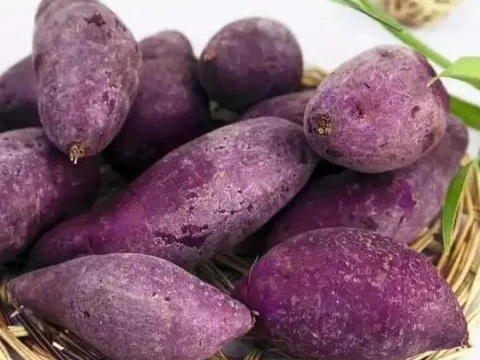 Khoai lang mật tốt hơn hay khoai tím tốt hơn? Hóa ra là khoảng cách quá lớn, đừng mua nhầm nếu bạn biết điều đó