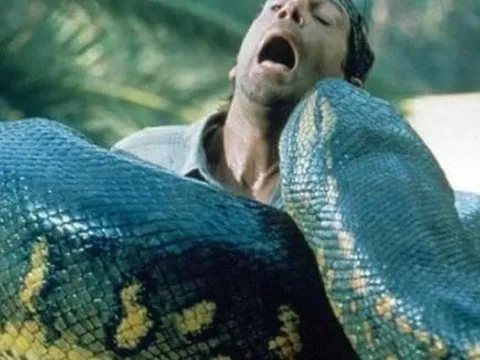 Nếu một người đàn ông bị một con trăn khổng lồ 'nuốt sống', vậy người đàn ông này có thể mổ bụng con trăn để thoát ra ngoài không?