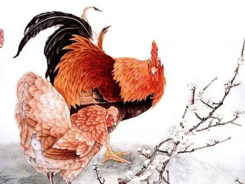 Top con giáp nữ mang mệnh quý nhân, đem tài lộc và may mắn đến cho 'nửa kia', đừng nên phụ lòng kẻo cả đời hối hận