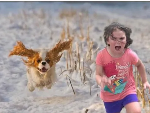 4 giấc mơ 'cảnh báo' kẻ xấu đang cận kề, cẩn thật kẻo gặp tai ương trong thời gian tới