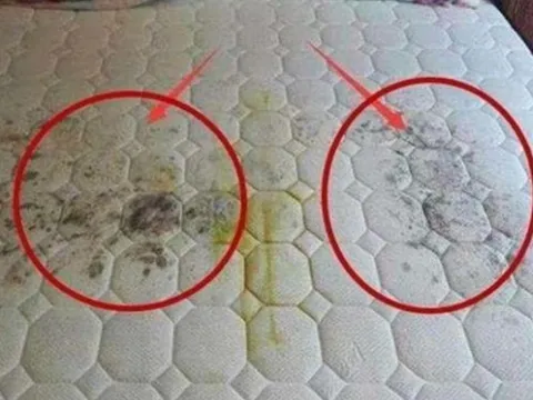 Sau khi ngủ trên đệm một thời gian dài, bọ ve đã hình thành tổ, mách bạn một cách đơn giản để loại bỏ bọ ve và bụi bẩn cùng nhau