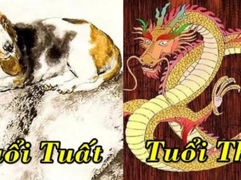 Tử vi hôm nay 25/2 của 12 con giáp: Tuất tài lộc dồi dào, Thìn nhạy bén với cơ hội tài chính