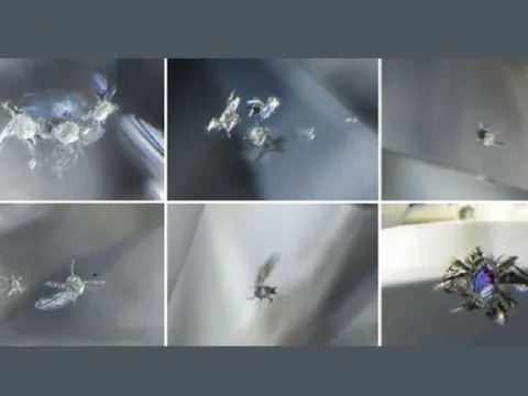 Kim cương Botswana tiết lộ thế giới kỳ lạ ẩn bên trong Trái Đất