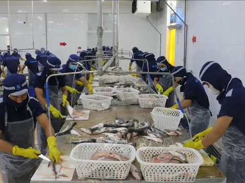 Giảm nấc trung gian trong phê duyệt dự án, không để gián đoạn sau tinh gọn