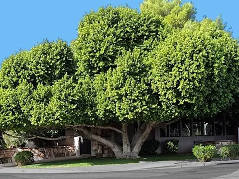 Mở cửa ra mà thấy 4 thứ này là nguy hiểm nhất, đừng coi thường kẻo có ngày hối hận