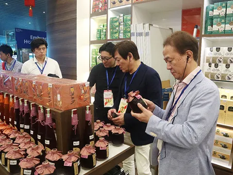 Nhật Bản chia sẻ giải pháp đưa nhà ga quốc nội sân bay Đà Nẵng đạt chuẩn 5 sao