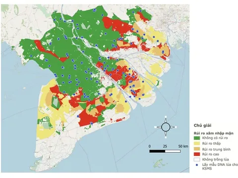 Dự án của Nhóm tư vấn nghiên cứu nông nghiệp quốc tế tác động tích cực đến 4 triệu nông hộ
