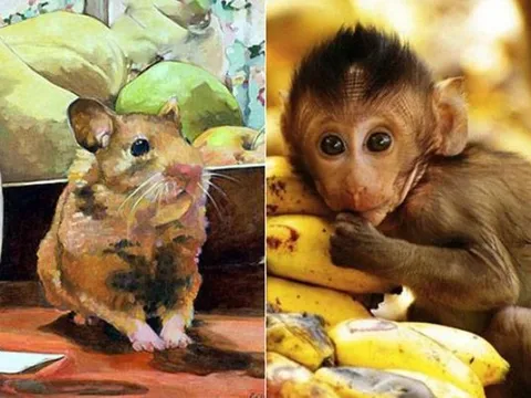 Tử vi ngày 27/2/2025 của 12 con giáp: Tuổi Thân được quý nhân phù trợ, Tý đối mặt thử thách