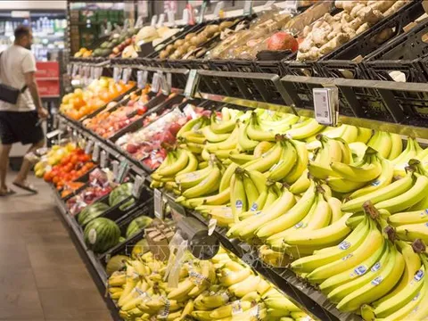 EBRD hạ dự báo tăng trưởng năm 2025 do bất ổn thương mại