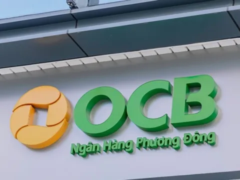 Thanh tra ngân hàng chỉ loạt tồn tại, vi phạm tại ngân hàng OCB Bình Dương