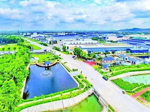 Đẩy mạnh chuyển đổi xanh, thúc đẩy các mô hình kinh doanh mới