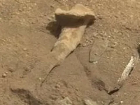 Cựu điệp viên CIA tuyên bố từng có sự sống trên sao Hỏa: Hé lộ những bí ẩn chấn động!