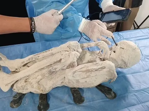 Xác ướp 'người ngoài hành tinh' được xác nhận là thật? Các nhà khoa học tuyên bố khám phá gây chấn động